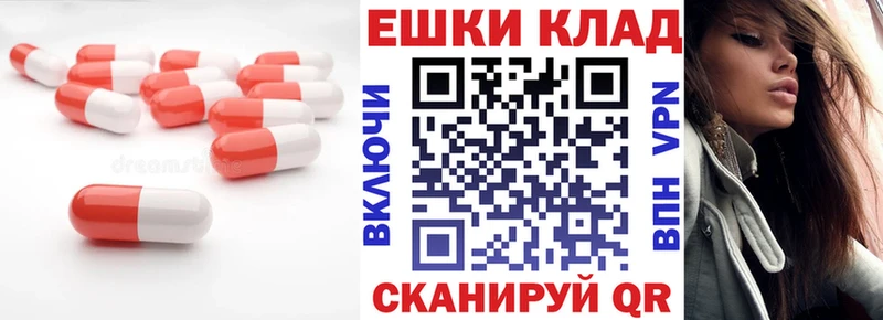 blacksprut ссылка  Цивильск  ЭКСТАЗИ Punisher  что такое наркотик 