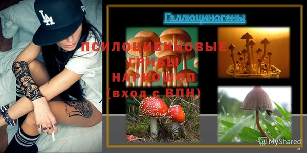 трава Алзамай