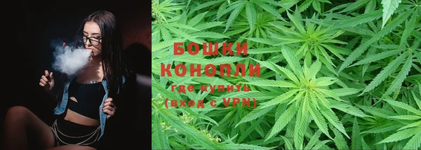 винт Аркадак