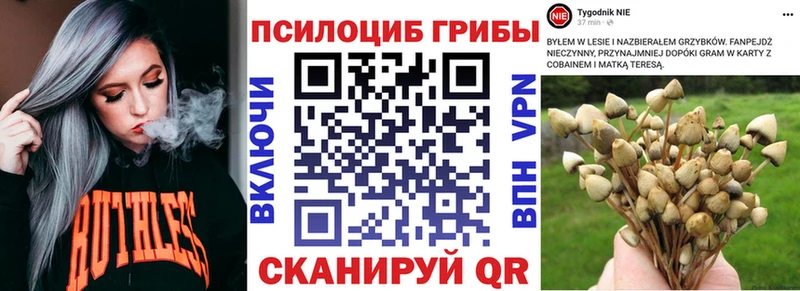 MEGA онион  Цивильск  Псилоцибиновые грибы ЛСД 